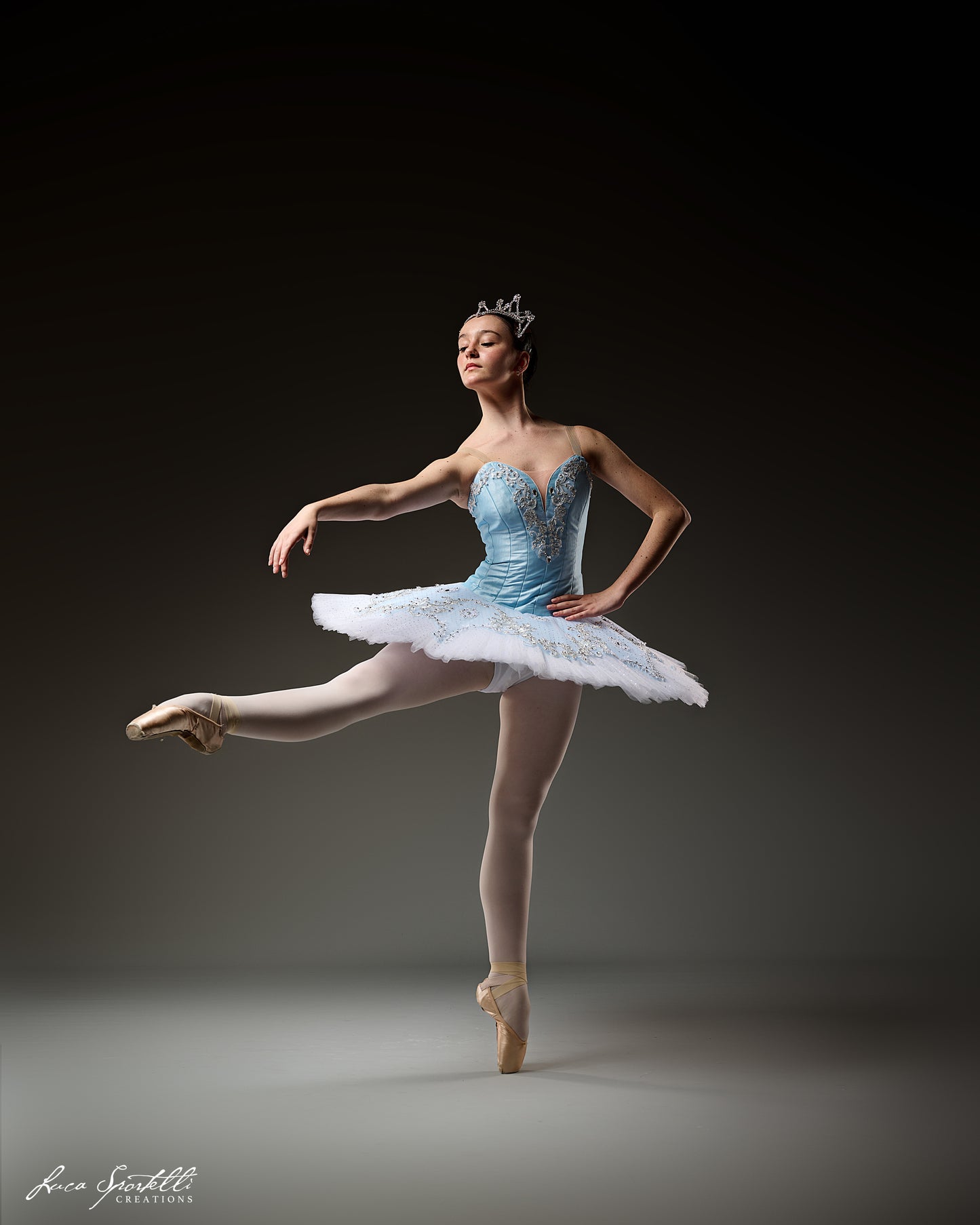 Crystal Fountain Fairy Tutu Rental