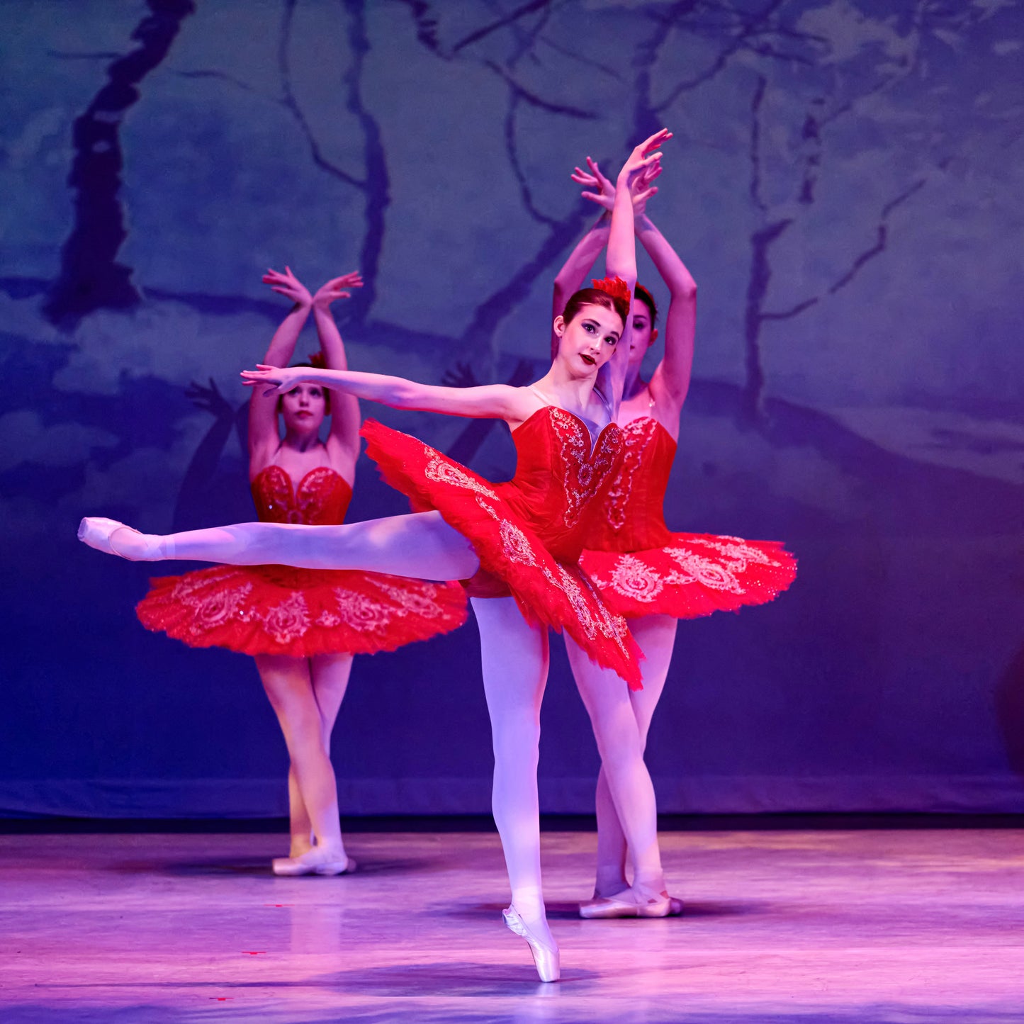 Ruby Classical Tutu Rental