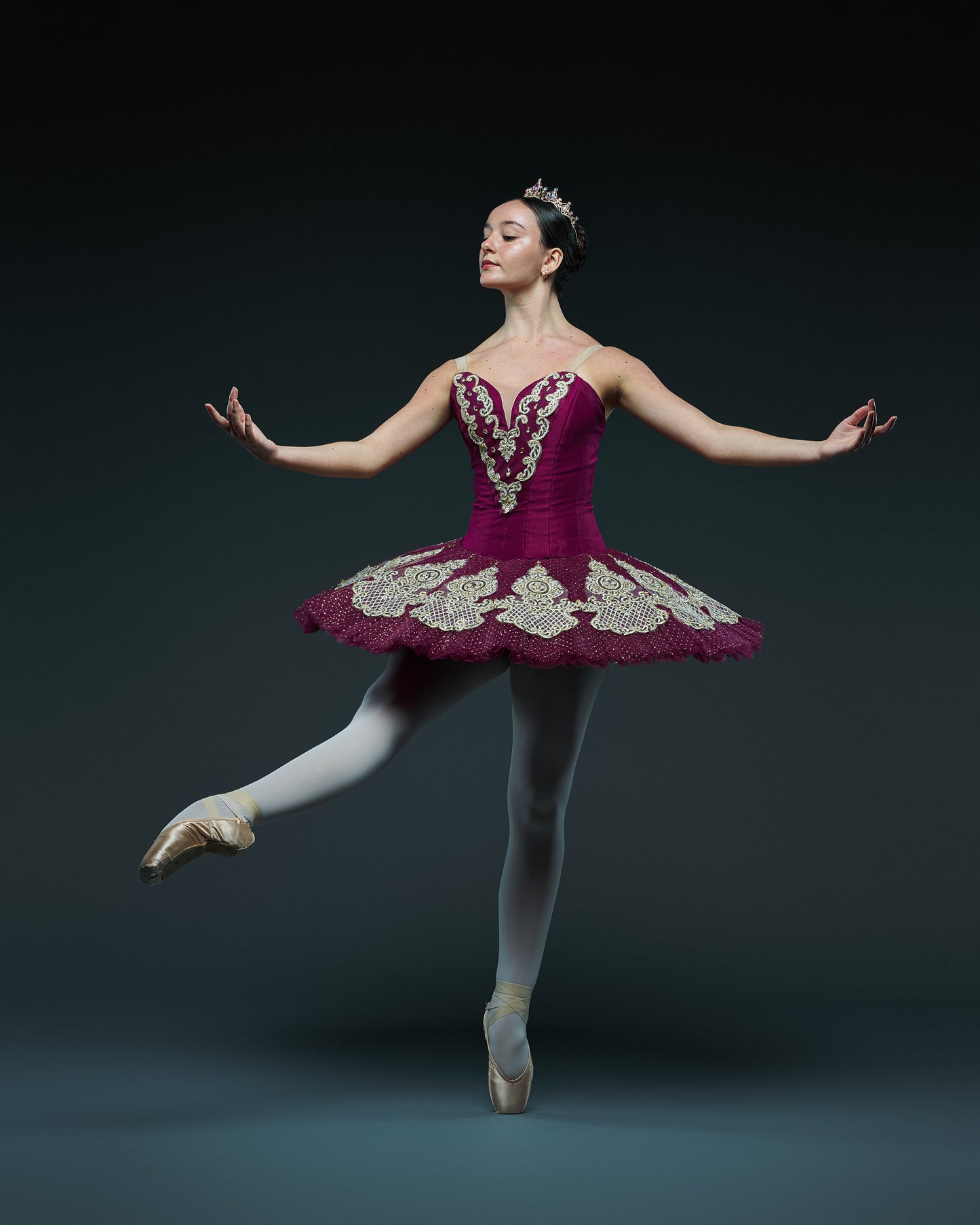 Garnet Classical Tutu Rental