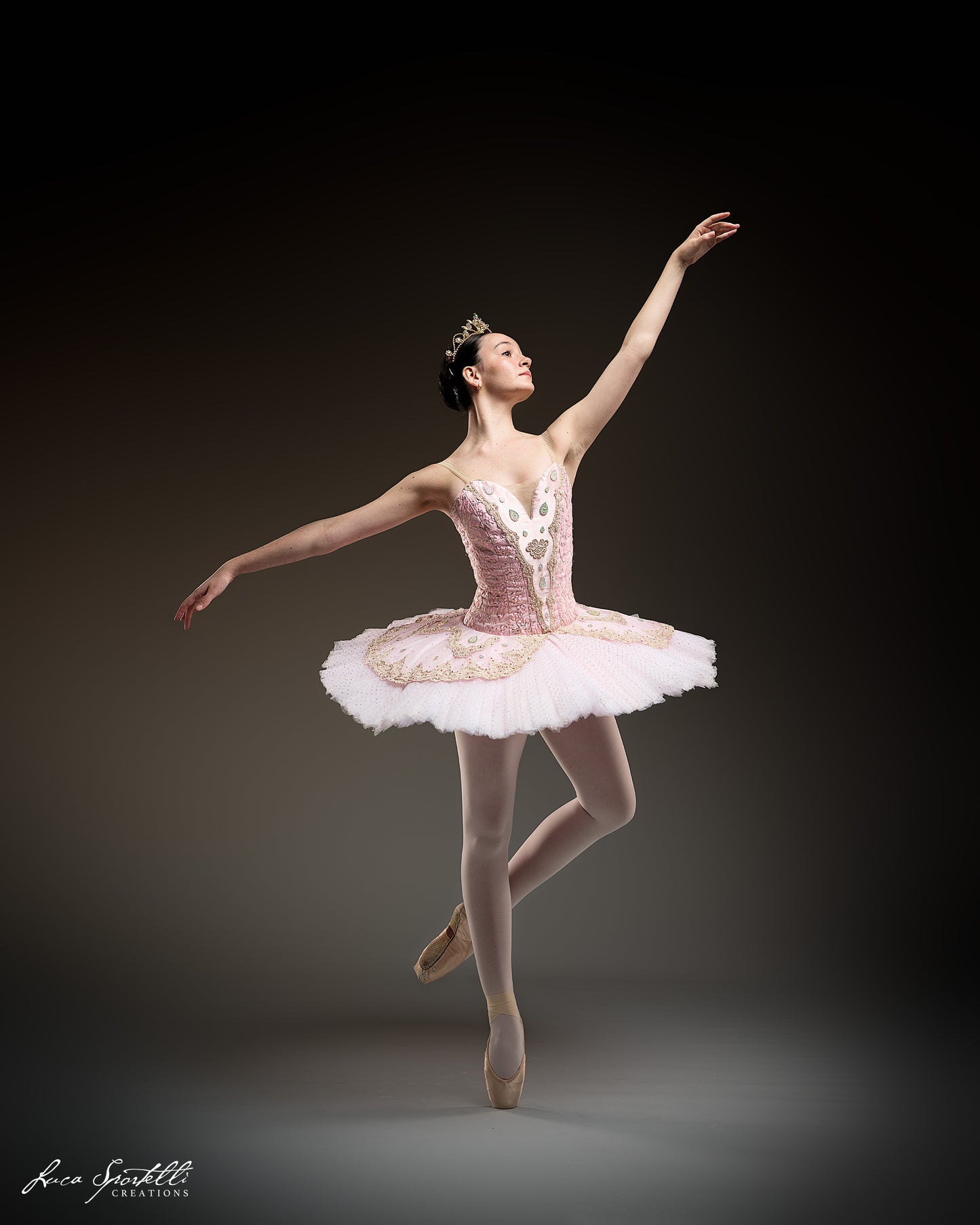 Birthday Variation Classical Tutu Rental