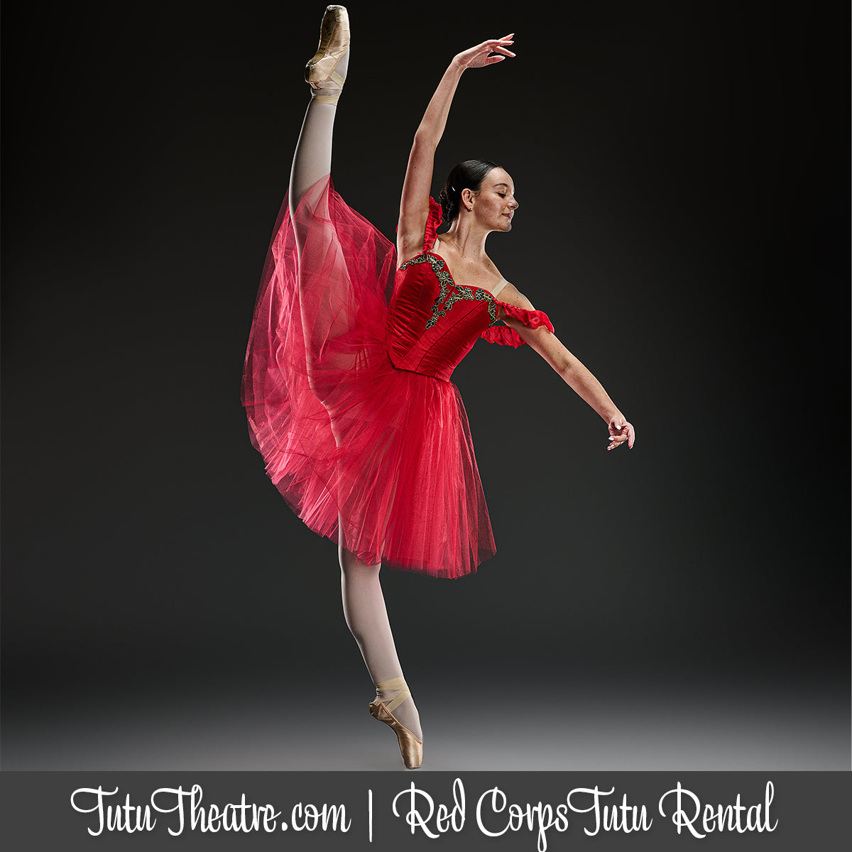 red ballet tutu dress Alegra Basic Camisole Tutu Dress