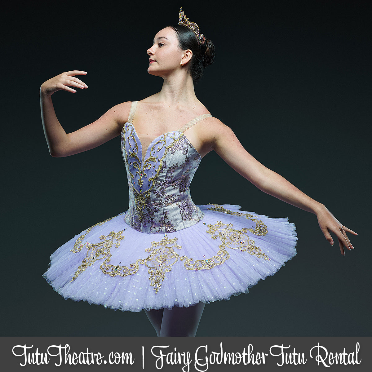 Fairy Godmother Classical Tutu Rental