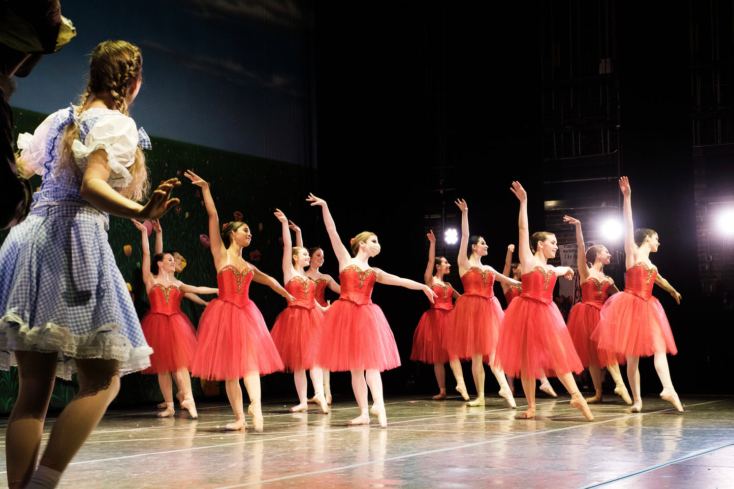 Red Corps de Ballet Tutu Rental