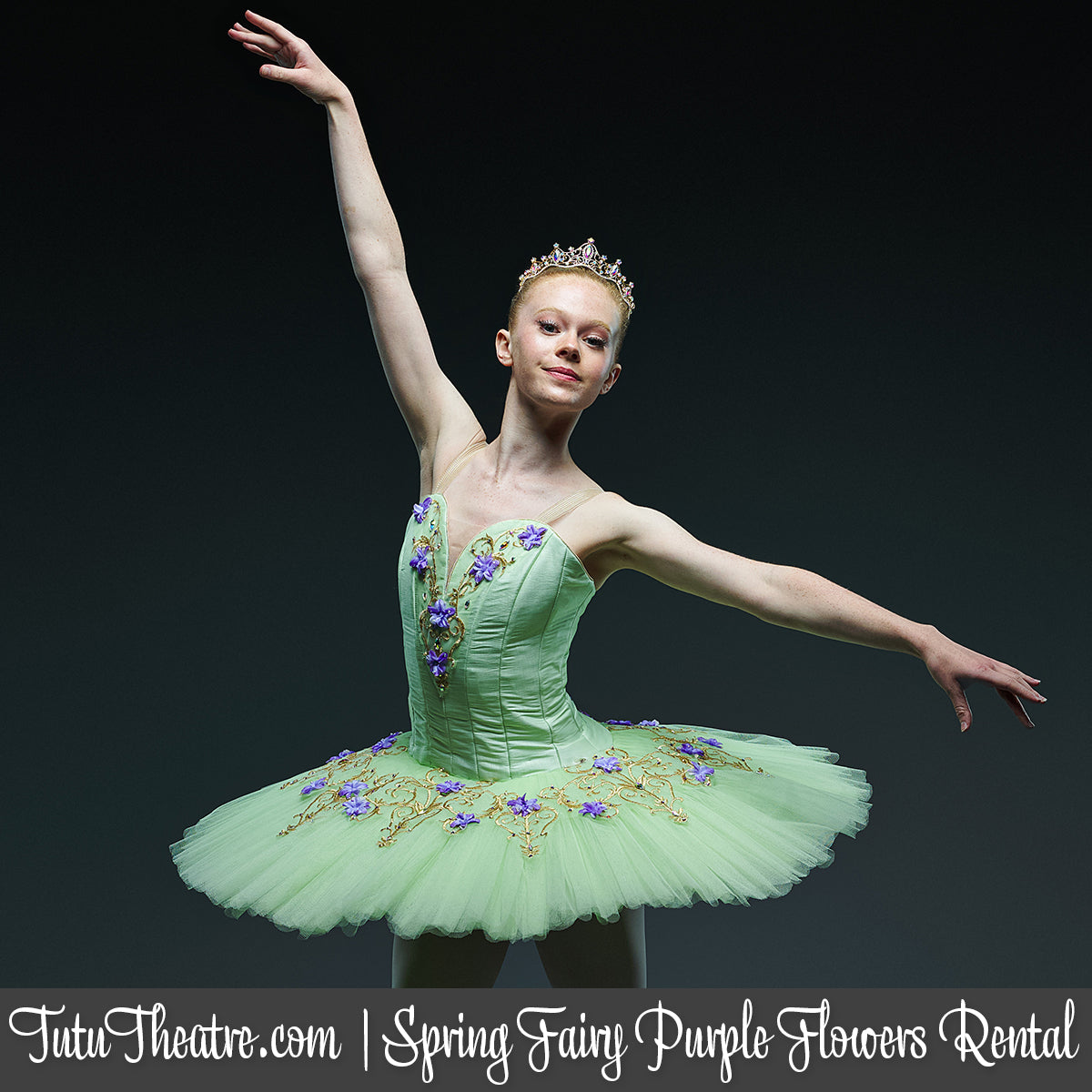 Spring Fairy with Purple Flowers Classical Tutu Rental