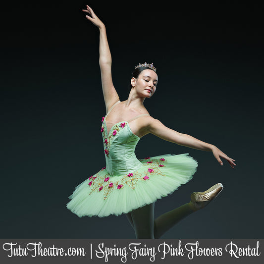 Spring Fairy with Pink Flowers Classical Tutu Rental