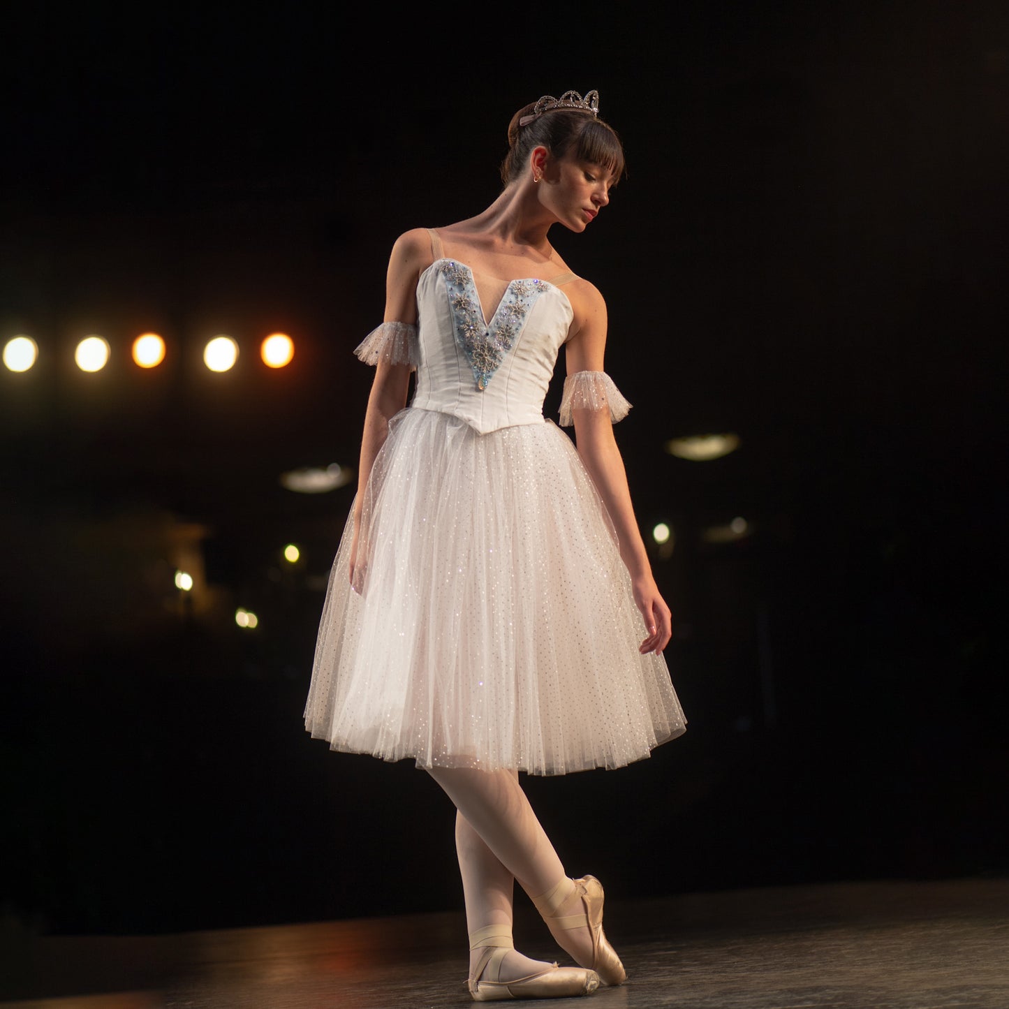 Snow Romantic Tutu Rental