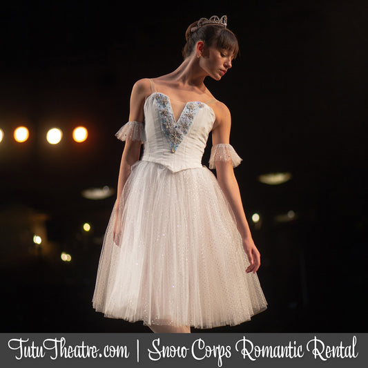 Snow Romantic Tutu Rental