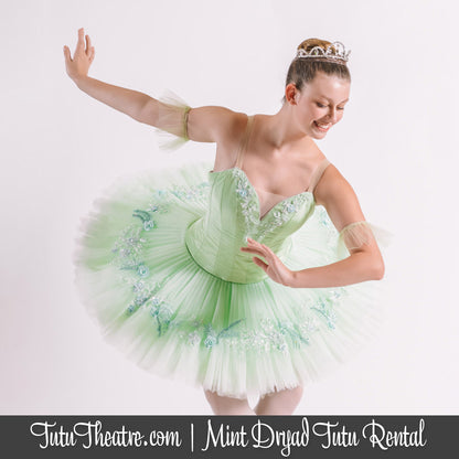 green ballet dress Revolution Dance Costume Leotard Dress Ballet Pointe Emerald Green Gold Tutu XLC